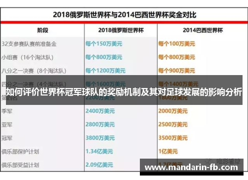 如何评价世界杯冠军球队的奖励机制及其对足球发展的影响分析