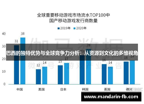 巴西的独特优势与全球竞争力分析：从资源到文化的多维视角