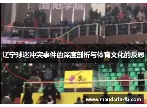 辽宁球迷冲突事件的深度剖析与体育文化的反思 辽宁球迷冲突事件的深度剖析与体育文化的反思