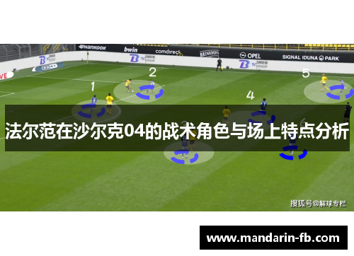法尔范在沙尔克04的战术角色与场上特点分析 法尔范在沙尔克04的战术角色与场上特点分析