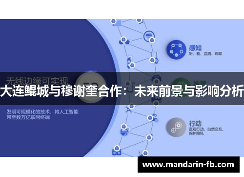 大连鲲城与穆谢奎合作:未来前景与影响分析 大连鲲城与穆谢奎合作:未来前景与影响分析