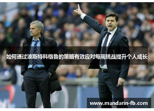 如何通过波斯特科格鲁的策略有效应对每周挑战提升个人成长 如何通过波斯特科格鲁的策略有效应对每周挑战提升个人成长