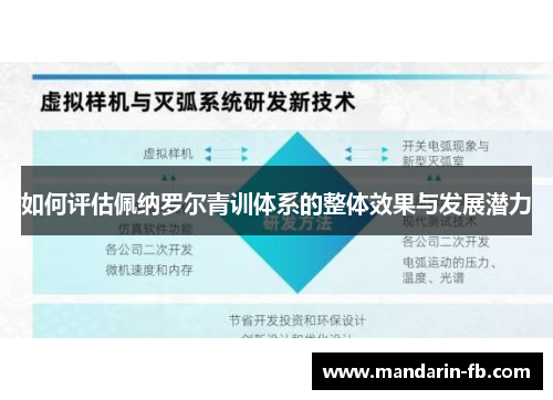 如何评估佩纳罗尔青训体系的整体效果与发展潜力