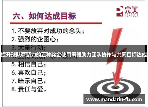 提升球队凝聚力的五种奖金使用策略助力团队协作与共同目标达成