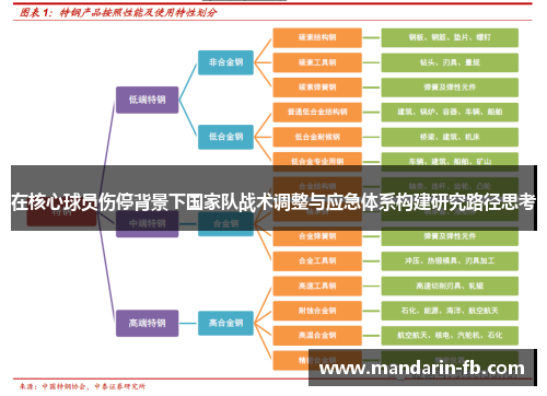 在核心球员伤停背景下国家队战术调整与应急体系构建研究路径思考