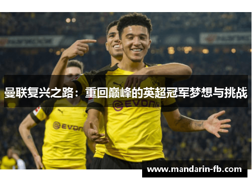 曼联复兴之路：重回巅峰的英超冠军梦想与挑战