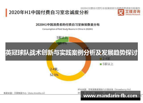 英冠球队战术创新与实践案例分析及发展趋势探讨