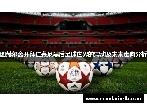 图赫尔离开拜仁慕尼黑后足球世界的震动及未来走向分析